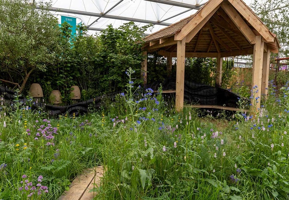 chelsea flower show winners