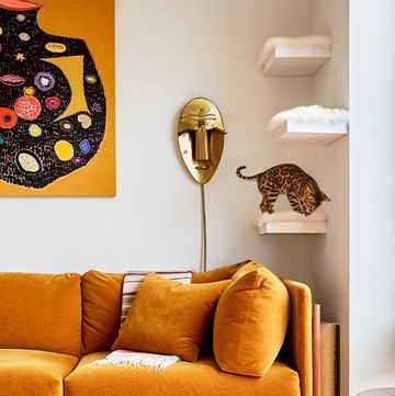 cat tree with orange sofa