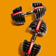 bowflex weights