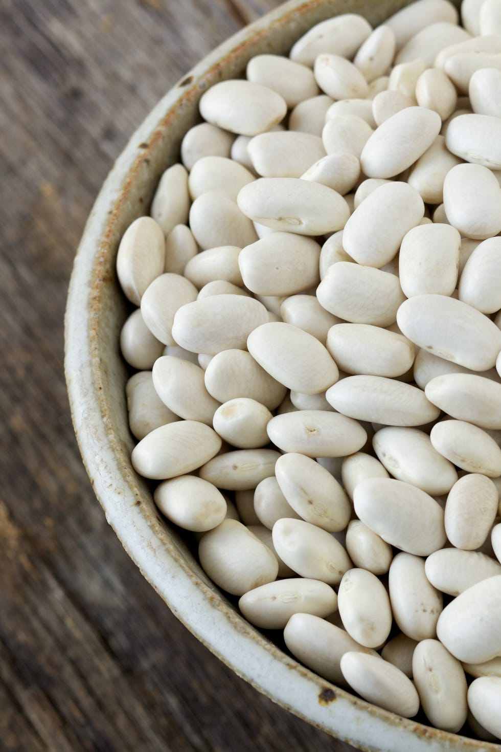 Bowl of dried cannellini beans on rustic wood surface