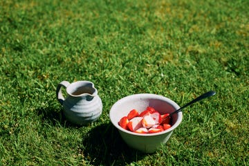 bowl of strawberries and cream outdoors on a garden lawn during a sunny summers day