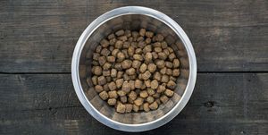 freshpet dog food recall bowl with dog food