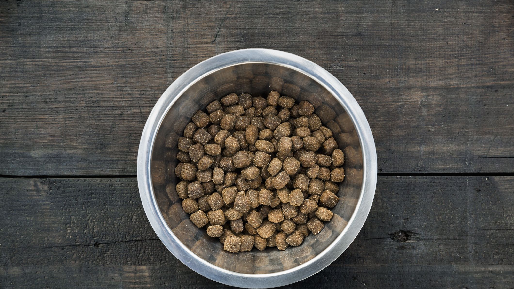 Dog food - Wikipedia