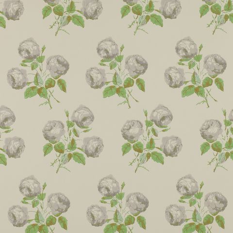 Pattern, Wallpaper, Botany, Design, Plant, Wrapping paper, Pedicel, Flower, Floral design, 