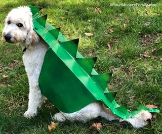 Dinosaur Amazon Boxtume Halloween Costume