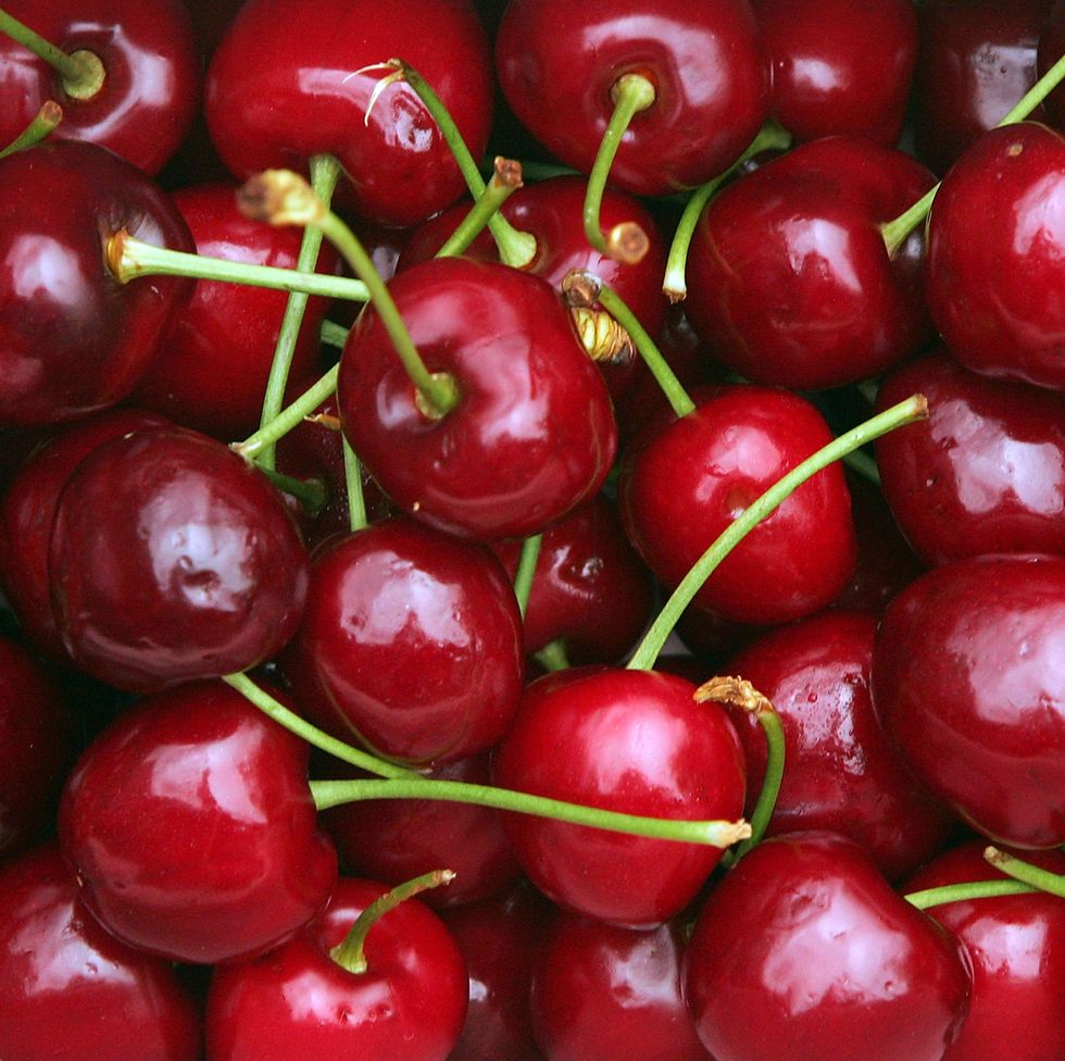 victorian cherry season launches in melbourne