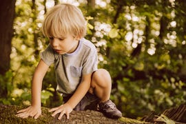 niño rubio en bosque