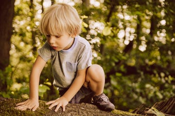 niño rubio en bosque