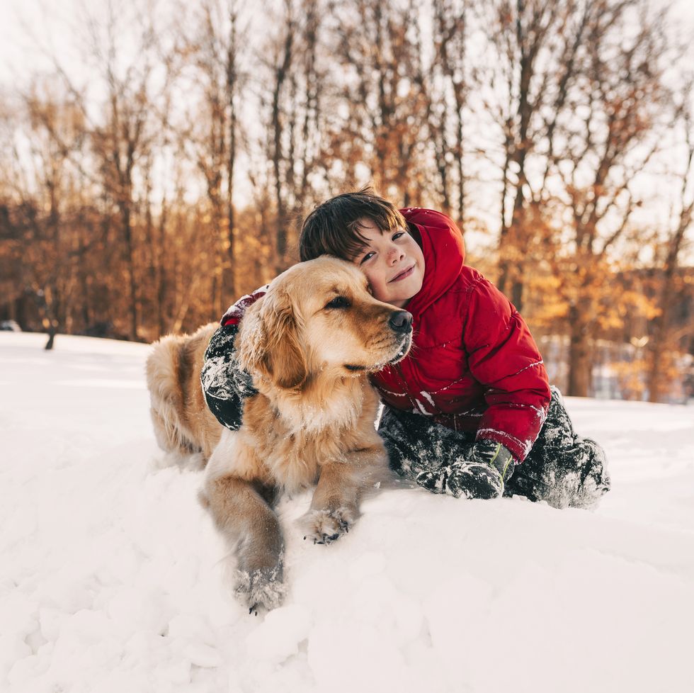 boy with dog in the snow christmas lyric quiz