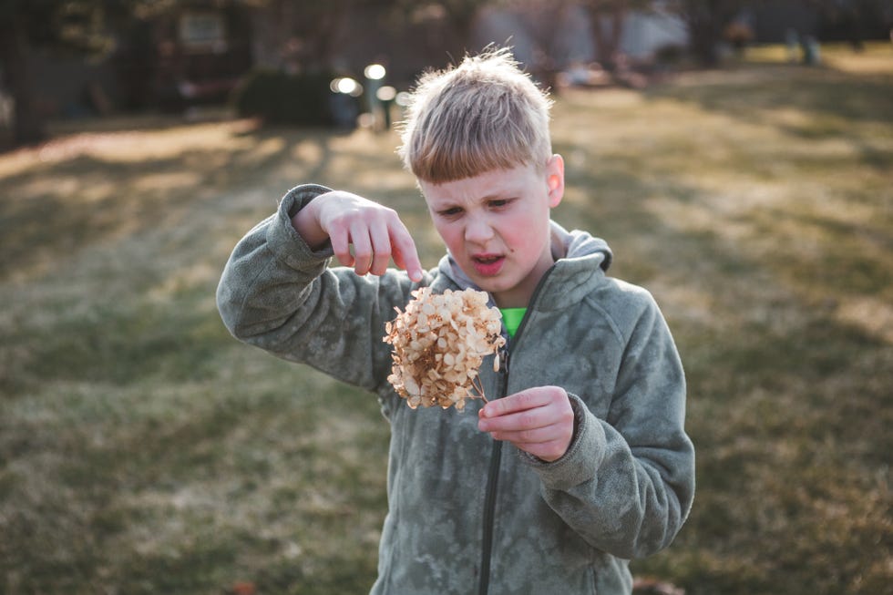 boy holding a dried flower