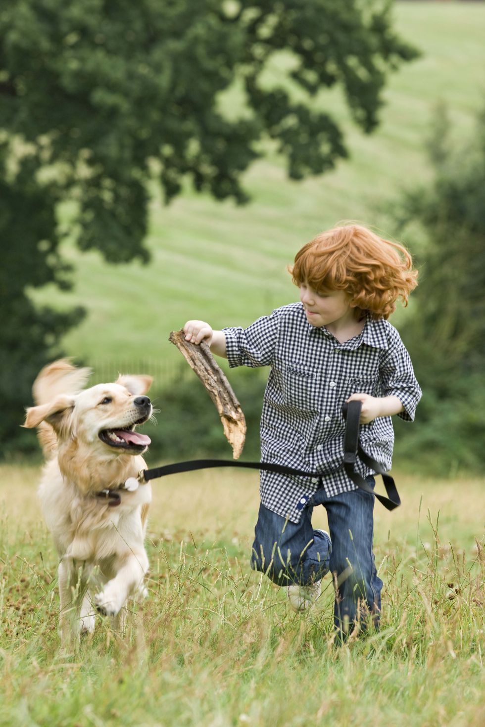 boy playing with dog