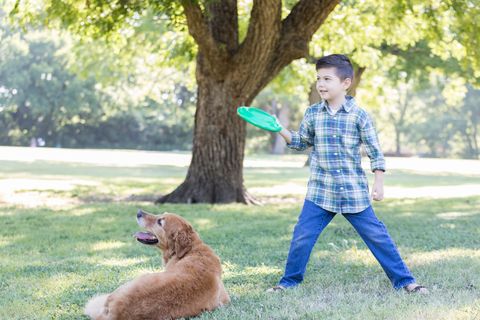 boy prepares to toss plastic disc to dog
