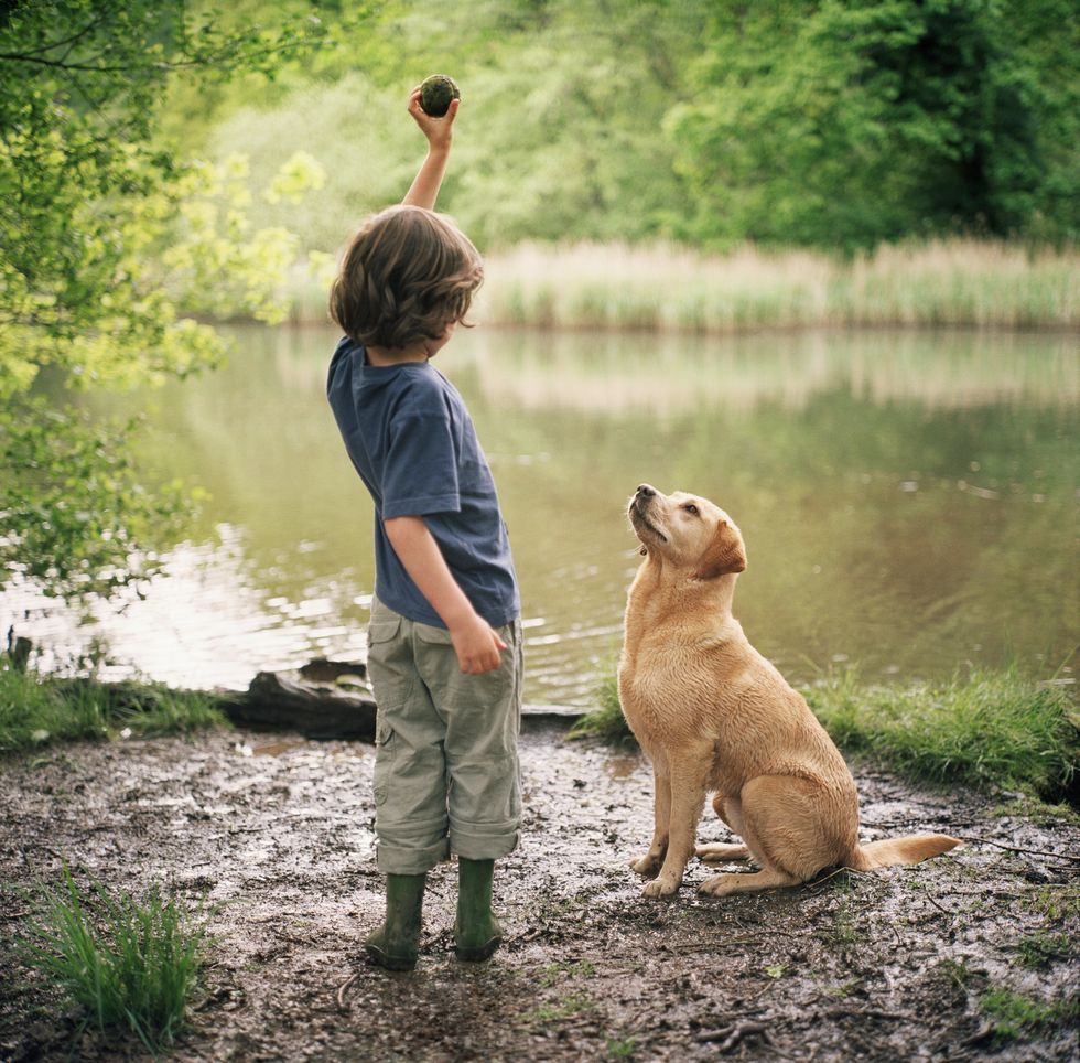 Boy (4-6) standing by lake holding ball in air, watched by labrador