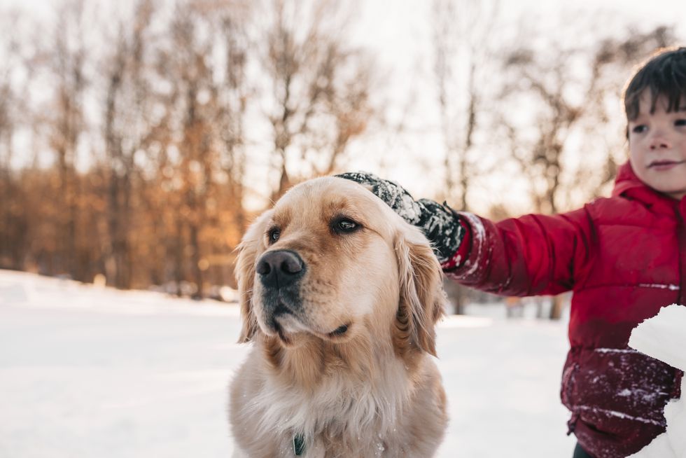 Boy standing in the snow stroking his golden retriever dog