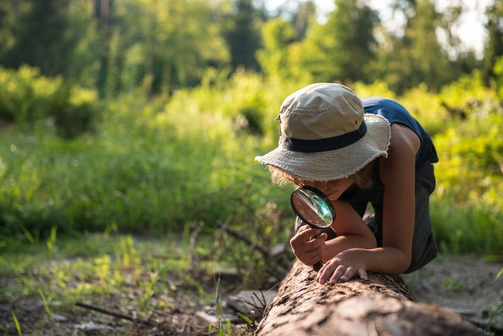 boy with a magnifying glass in a forest fun activities for kids