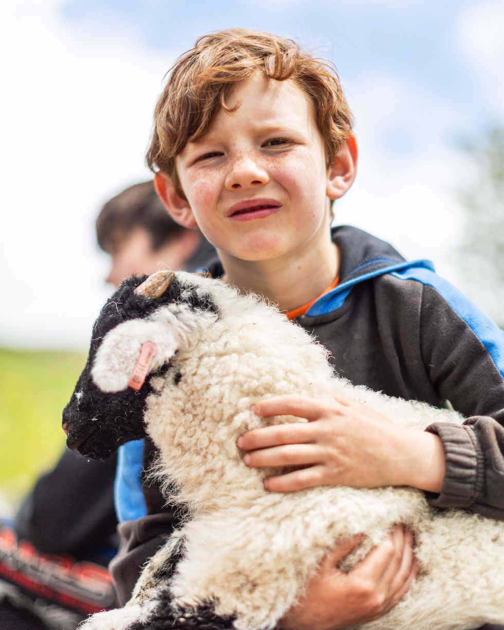 a boy holding a sheep