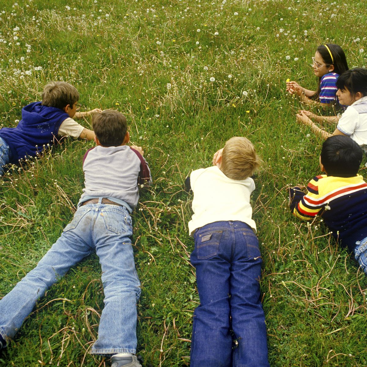 Children laying on grass picking dandelions,Santa Fe National Forest, NM