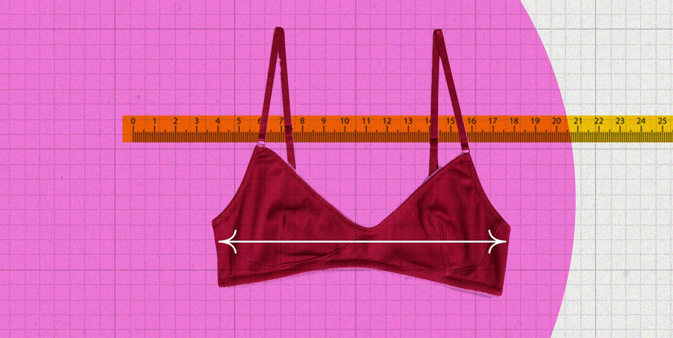 How to Measure Your Bra Size at Home  Measure bra size, Bra size charts,  Bra measurements