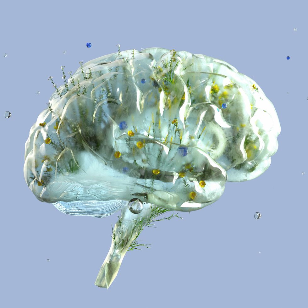 digital generated image of brain made out of frosted glass and filled with plants and flowers on blue background