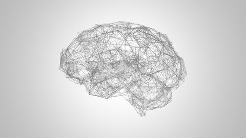 brain neural network  illustration