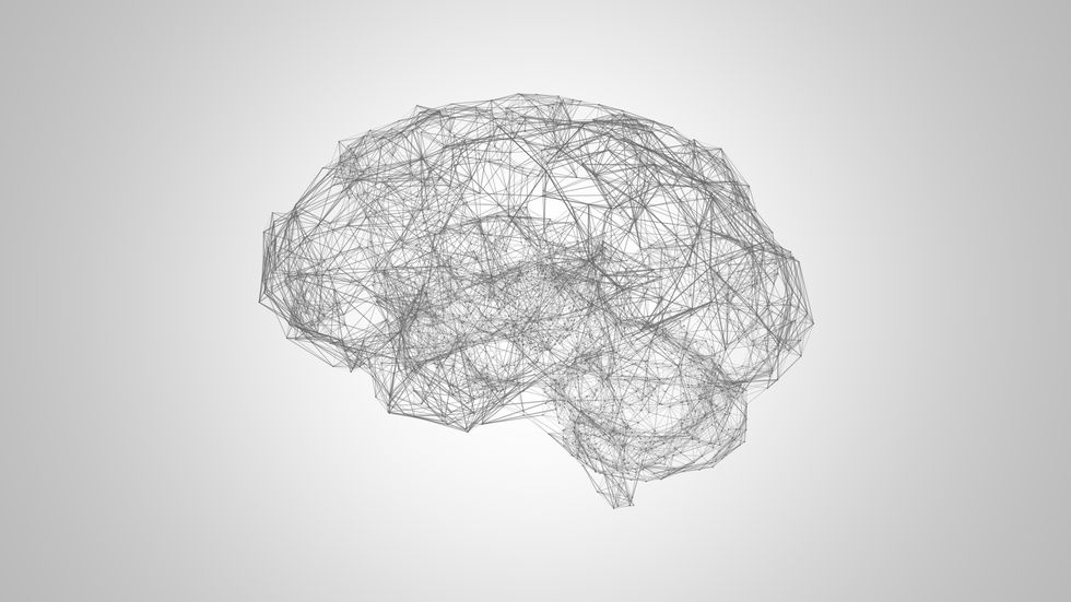 brain neural network  illustration