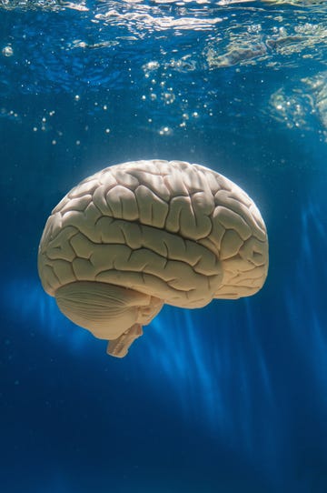 brain underwater