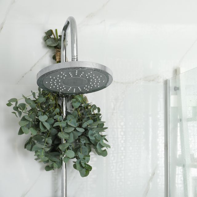 branches with green eucalyptus leaves in shower