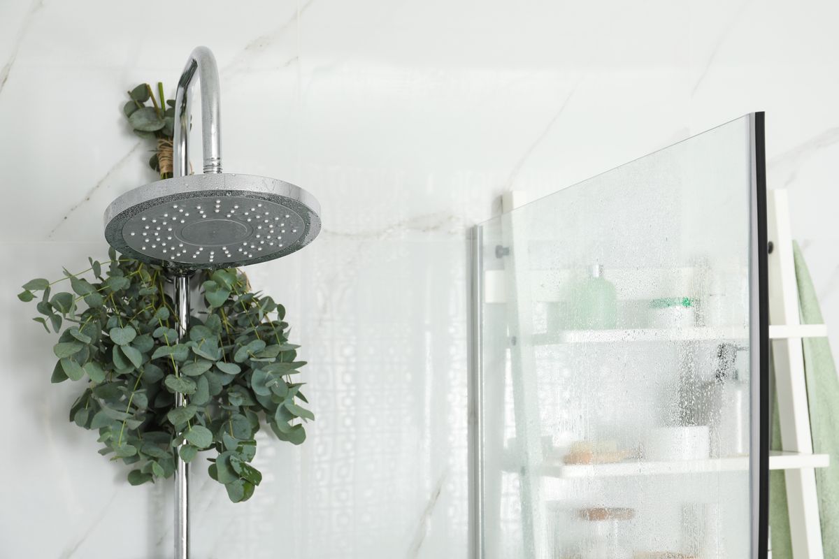 branches with green eucalyptus leaves in shower