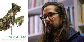 brandon shiimoda, hydra medusa, poems, poetry, dreams, speculative talks, book review