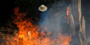 アマゾン熱帯雨林火災の現状を10枚の写真で振り返る