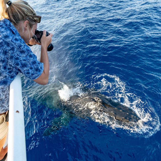 woman riding a boat and taking a photo of a sea creature in the ocean