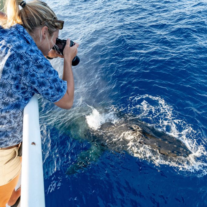 woman riding a boat and taking a photo of a sea creature in the ocean