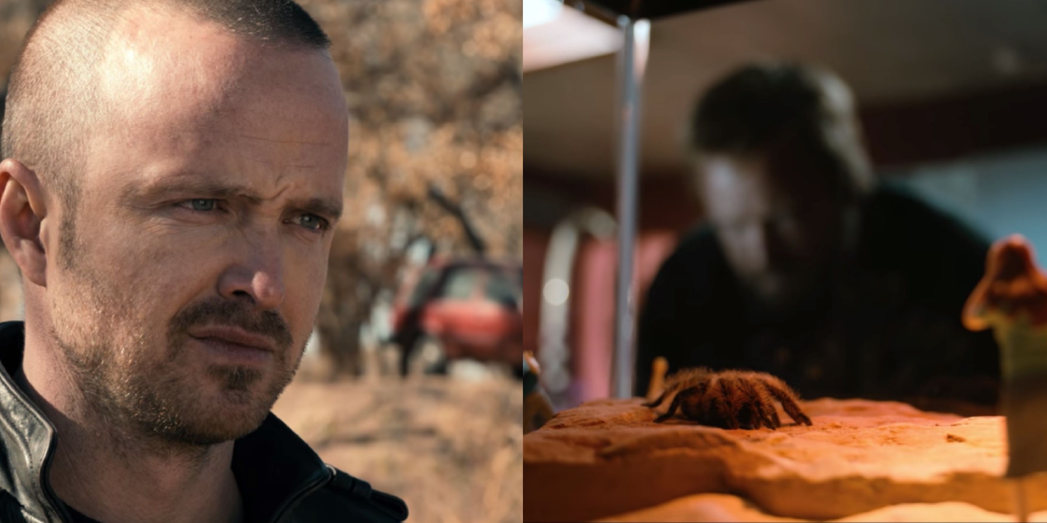 Every Breaking Bad Easter Egg in El Camino - From Brock to Alaska, These Are the Biggest Clues in the Movie