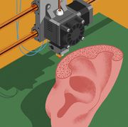 3d printed implantable body parts, ears