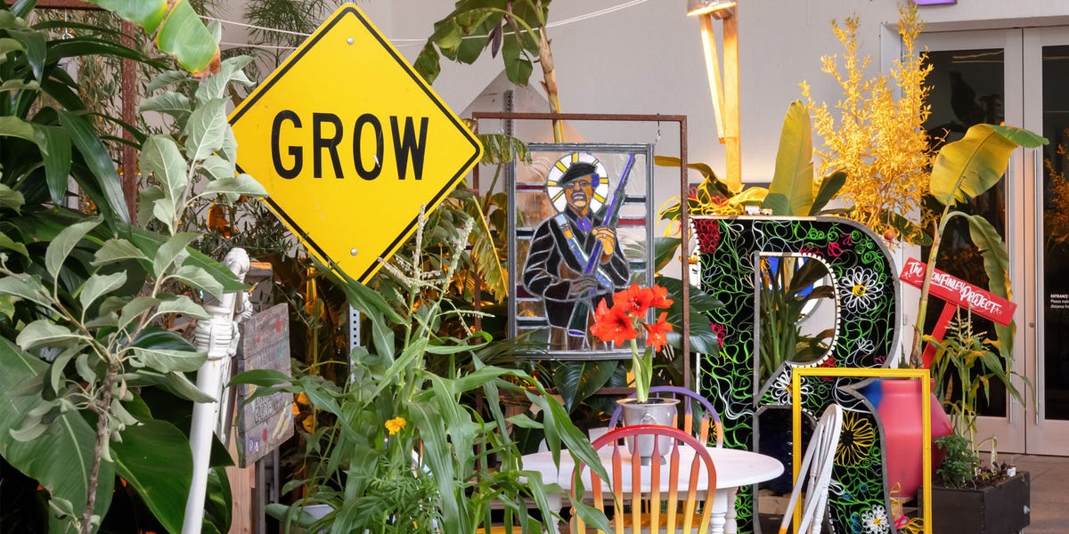 ron finley, grounded, gangsta gardener