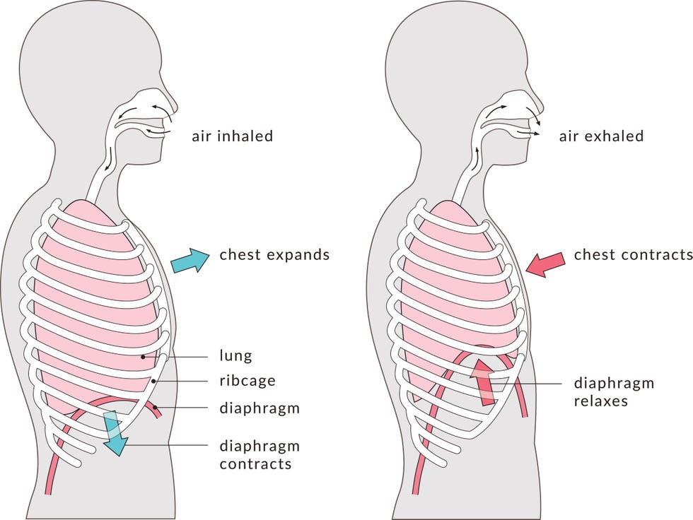 respiración diafragmática
