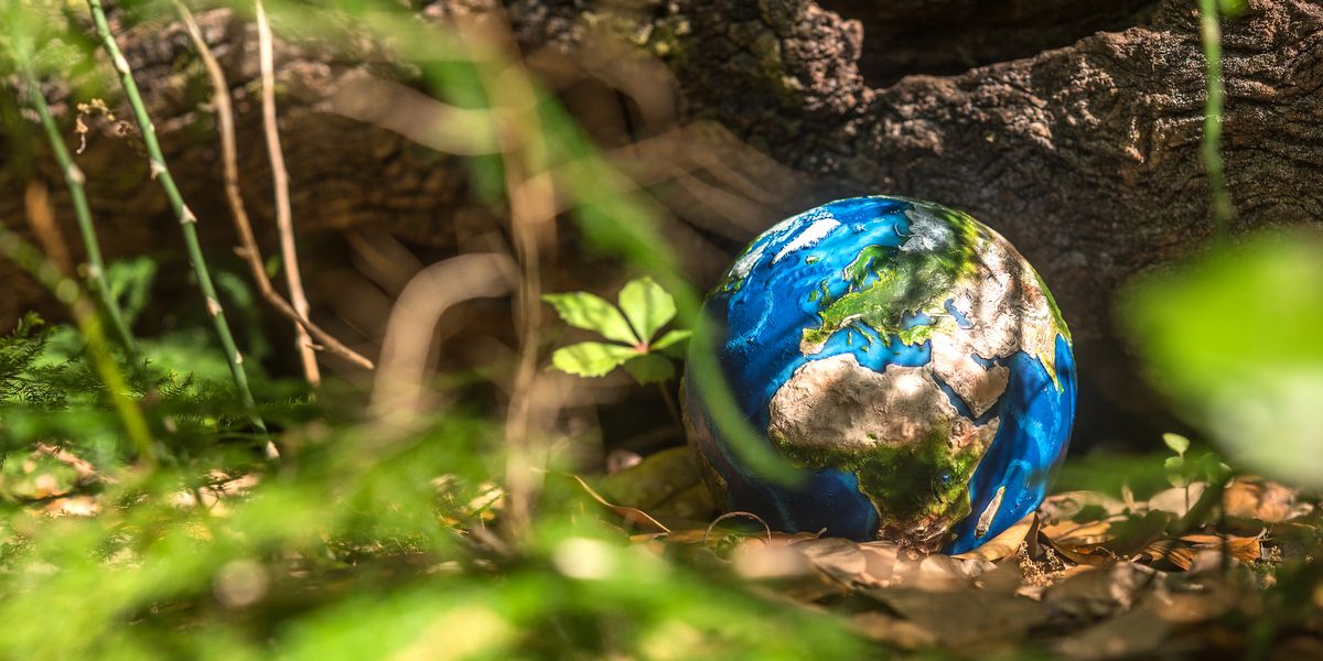 Scientists Just Proved That All Life on Earth Follows One Simple Rule
