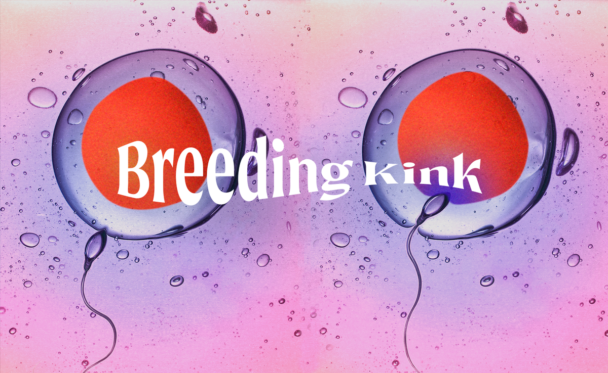 What Is a Breeding Kink?