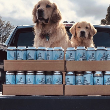 brewery dogs at six harbors brewing company