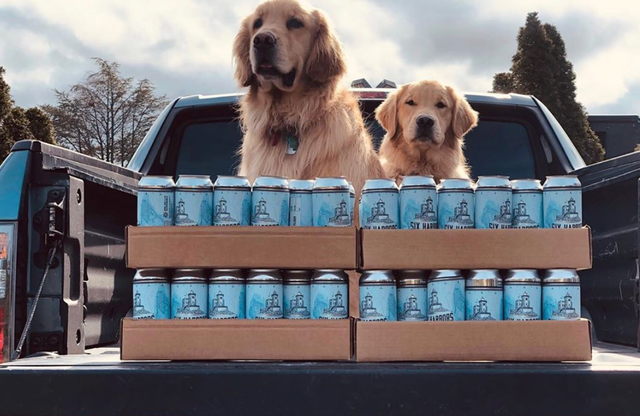 brewery dogs at six harbors brewing company
