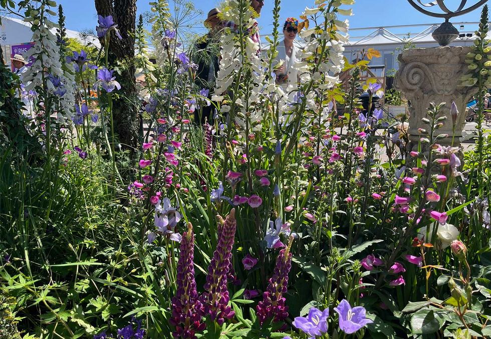 bridgerton garden chelsea flower show