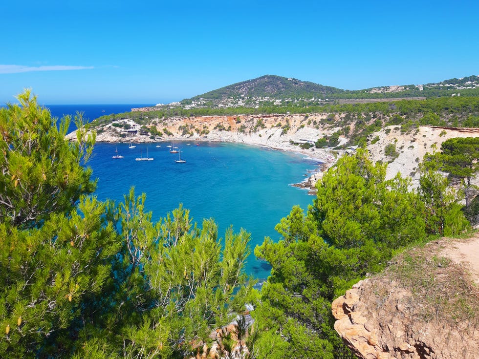 bright colors of the wild nature of the bay of cala d'hort in ibiza in summer in balearic island