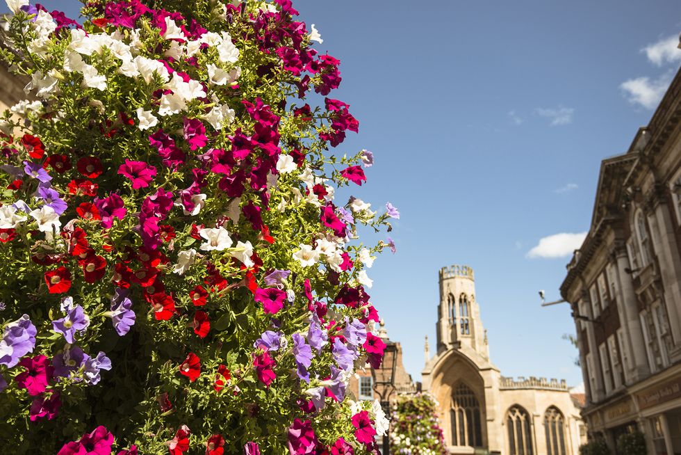 bright flowers in york city centre