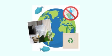 single use plastics