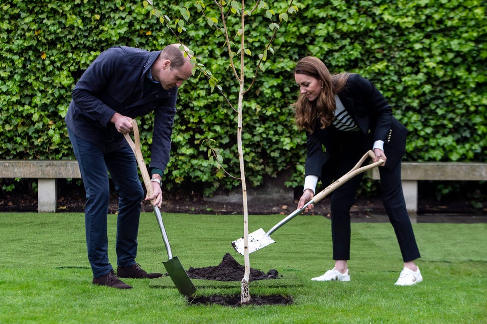 prince william kate middleton st andrews
