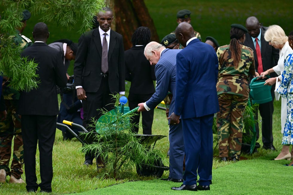 KENYA-BRITAIN-ROYALS-DIPLOMACY kenya britain royals diplomacy