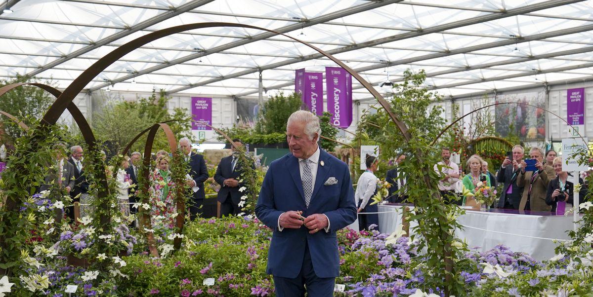 The King’s Rose Just Debuted at the Chelsea Flower Show—and It’s a Stunner