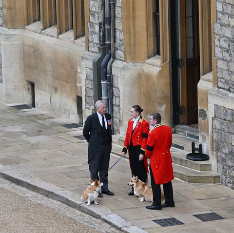 queen's corgis and prince andrew