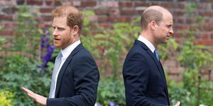 william and harry standing together amid royal rift