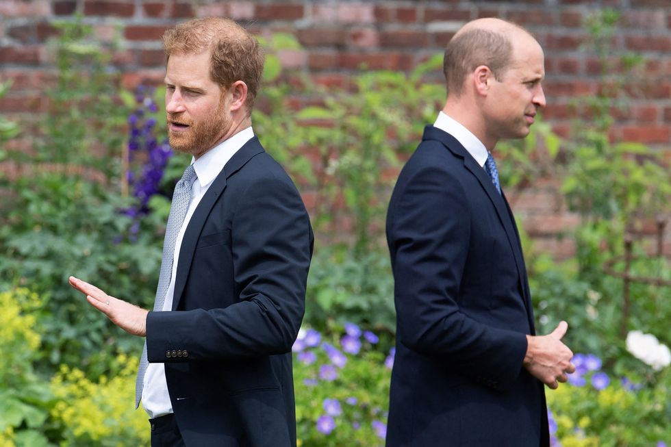 prince harry and prince william stand back to back in a garden, both men are wearing dark suits with white collared shirts and ties